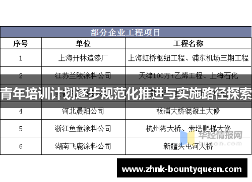 青年培训计划逐步规范化推进与实施路径探索